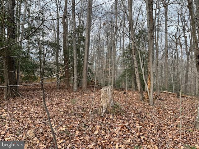 000 GENERAL LEE COURT, MONTROSS, Virginia 22520, ,Land,For sale,000 GENERAL LEE COURT,VAWE2008820 MLS # VAWE2008820