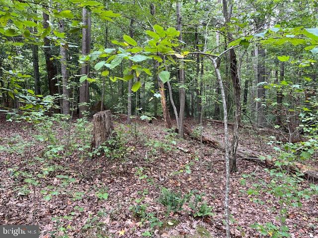 LOTS 48 & 49 GENERAL LEE COURT, MONTROSS, Virginia 22520, ,Land,For sale,LOTS 48 & 49 GENERAL LEE COURT,VAWE2008820 MLS # VAWE2008820