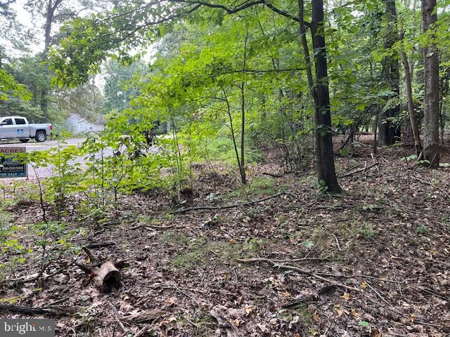 LOTS 48 & 49 GENERAL LEE COURT, MONTROSS, Virginia 22520, ,Land,For sale,LOTS 48 & 49 GENERAL LEE COURT,VAWE2008820 MLS # VAWE2008820