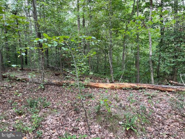 LOTS 48 & 49 GENERAL LEE COURT, MONTROSS, Virginia 22520, ,Land,For sale,LOTS 48 & 49 GENERAL LEE COURT,VAWE2008820 MLS # VAWE2008820