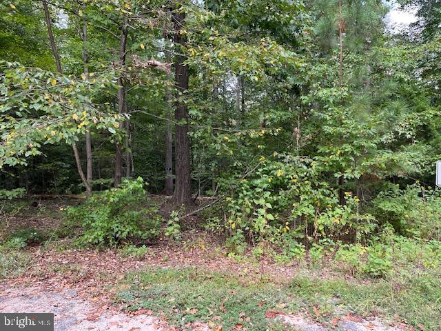 LOTS 48 & 49 GENERAL LEE COURT, MONTROSS, Virginia 22520, ,Land,For sale,LOTS 48 & 49 GENERAL LEE COURT,VAWE2008820 MLS # VAWE2008820