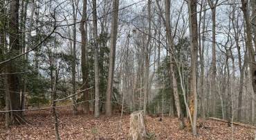 000 GENERAL LEE COURT, MONTROSS, Virginia 22520, ,Land,For sale,000 GENERAL LEE COURT,VAWE2008820 MLS # VAWE2008820