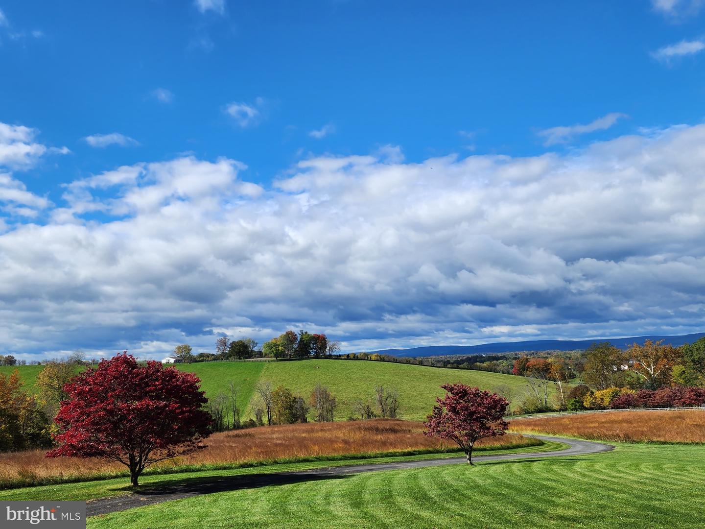 15870 OLD WATERFORD RD, PAEONIAN SPRINGS, Virginia 20129, 5 Bedrooms Bedrooms, ,4 BathroomsBathrooms,Residential,For sale,15870 OLD WATERFORD RD,VALO2093962 MLS # VALO2093962