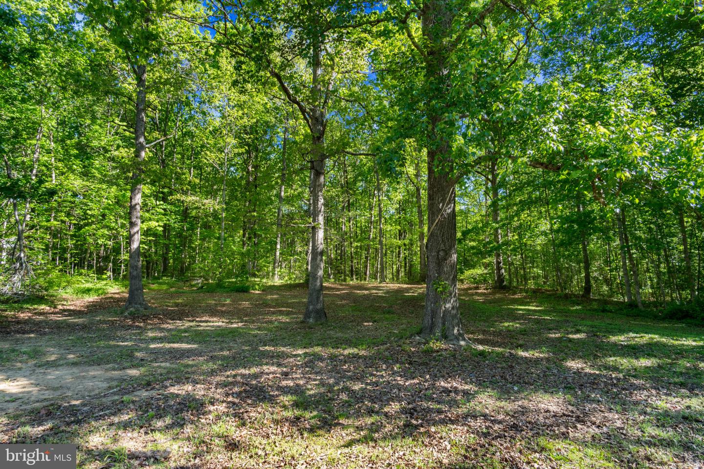 14408 OLD RIDGE RD, BEAVERDAM, Virginia 23015, 3 Bedrooms Bedrooms, ,2 BathroomsBathrooms,Residential,For sale,14408 OLD RIDGE RD,VAHA2000966 MLS # VAHA2000966