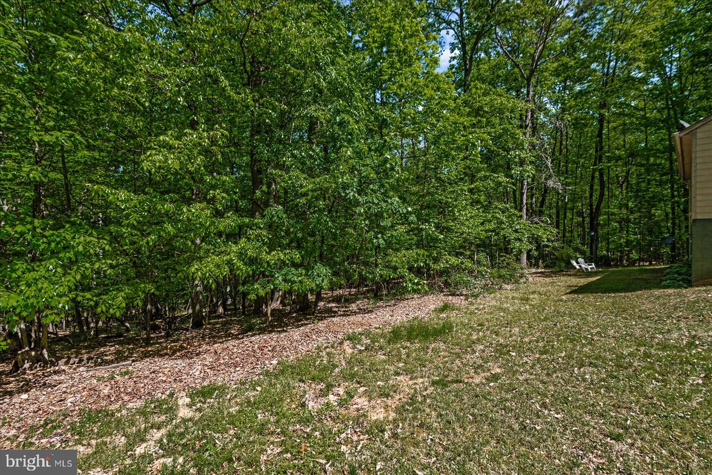 54 COURTHOUSE MOUNTAIN RD, MADISON, Virginia 22727, 3 Bedrooms Bedrooms, 7 Rooms Rooms,2 BathroomsBathrooms,Residential,For sale,54 COURTHOUSE MOUNTAIN RD,VAMA2002194 MLS # VAMA2002194