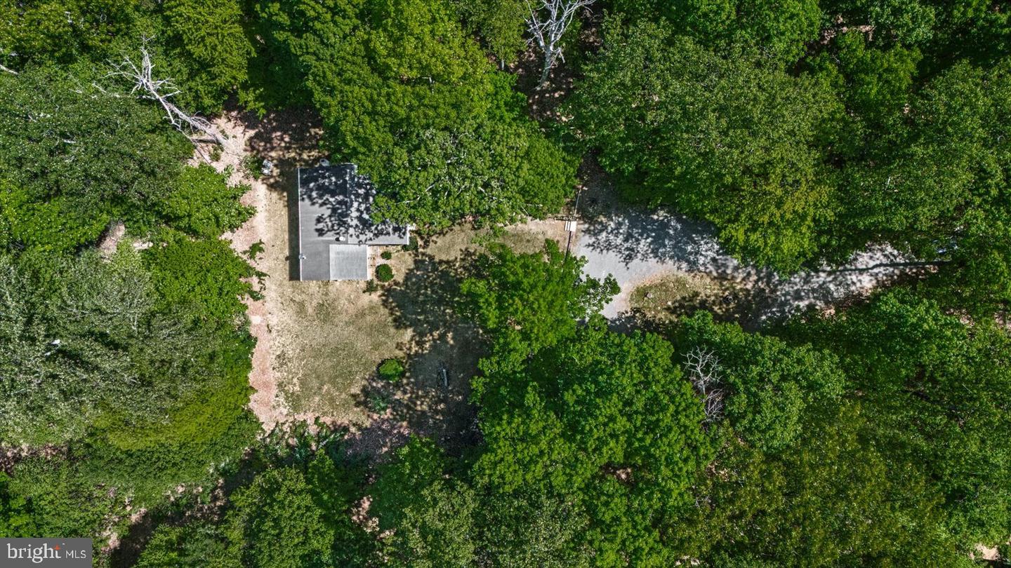 54 COURTHOUSE MOUNTAIN RD, MADISON, Virginia 22727, 3 Bedrooms Bedrooms, 7 Rooms Rooms,2 BathroomsBathrooms,Residential,For sale,54 COURTHOUSE MOUNTAIN RD,VAMA2002194 MLS # VAMA2002194