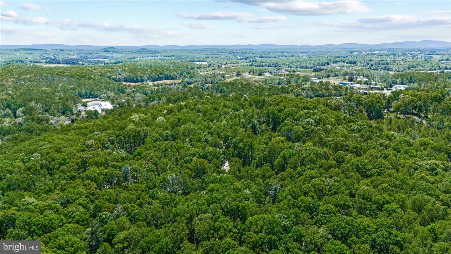 54 COURTHOUSE MOUNTAIN RD, MADISON, Virginia 22727, 3 Bedrooms Bedrooms, 7 Rooms Rooms,2 BathroomsBathrooms,Residential,For sale,54 COURTHOUSE MOUNTAIN RD,VAMA2002194 MLS # VAMA2002194