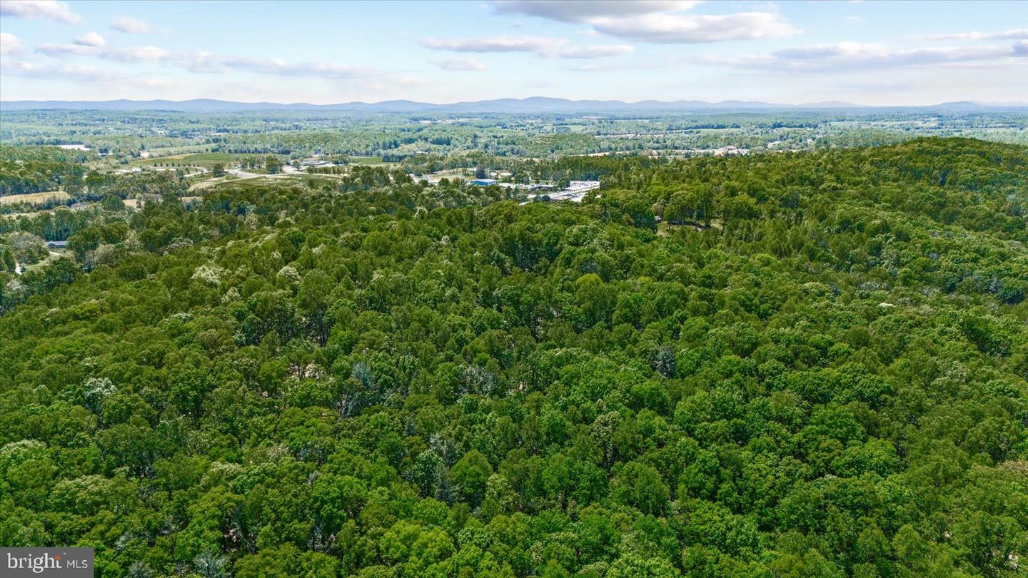 54 COURTHOUSE MOUNTAIN RD, MADISON, Virginia 22727, 3 Bedrooms Bedrooms, 7 Rooms Rooms,2 BathroomsBathrooms,Residential,For sale,54 COURTHOUSE MOUNTAIN RD,VAMA2002194 MLS # VAMA2002194
