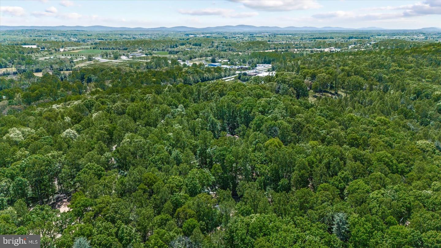 54 COURTHOUSE MOUNTAIN RD, MADISON, Virginia 22727, 3 Bedrooms Bedrooms, 7 Rooms Rooms,2 BathroomsBathrooms,Residential,For sale,54 COURTHOUSE MOUNTAIN RD,VAMA2002194 MLS # VAMA2002194