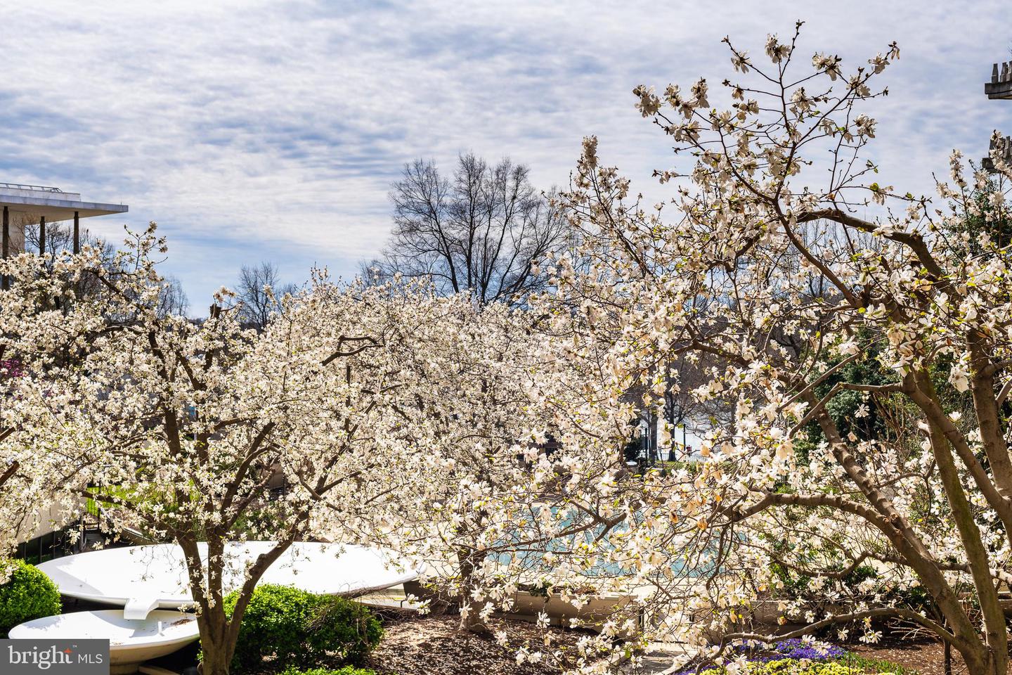 700 NEW HAMPSHIRE AVE NW #320, WASHINGTON, District Of Columbia 20037, 1 Bedroom Bedrooms, ,1 BathroomBathrooms,Residential,For sale,700 NEW HAMPSHIRE AVE NW #320,DCDC2197746 MLS # DCDC2197746