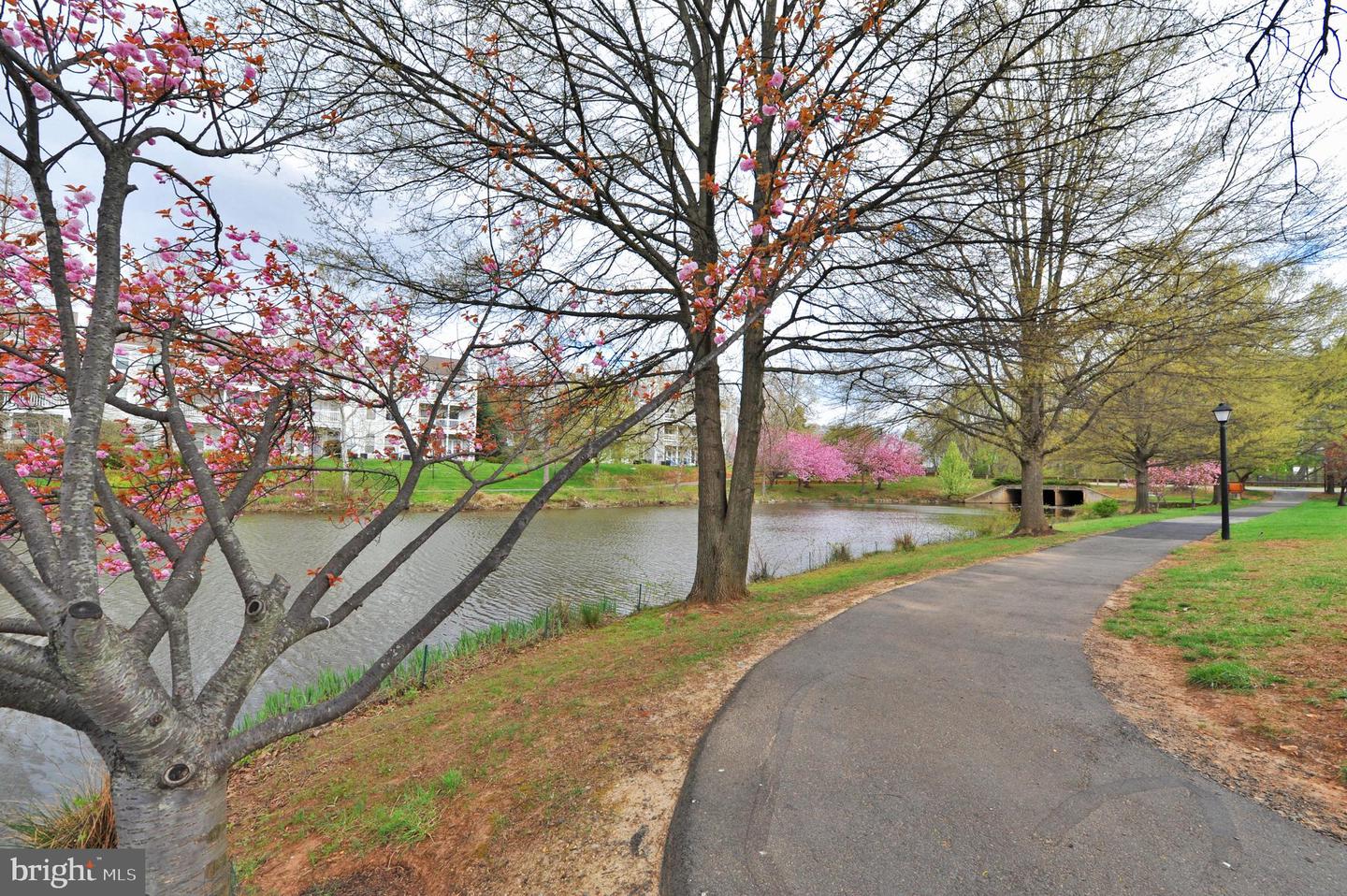 7753 INVERSHAM DR #226, FALLS CHURCH, Virginia 22042, 3 Bedrooms Bedrooms, ,2 BathroomsBathrooms,Residential,For sale,7753 INVERSHAM DR #226,VAFX2237046 MLS # VAFX2237046