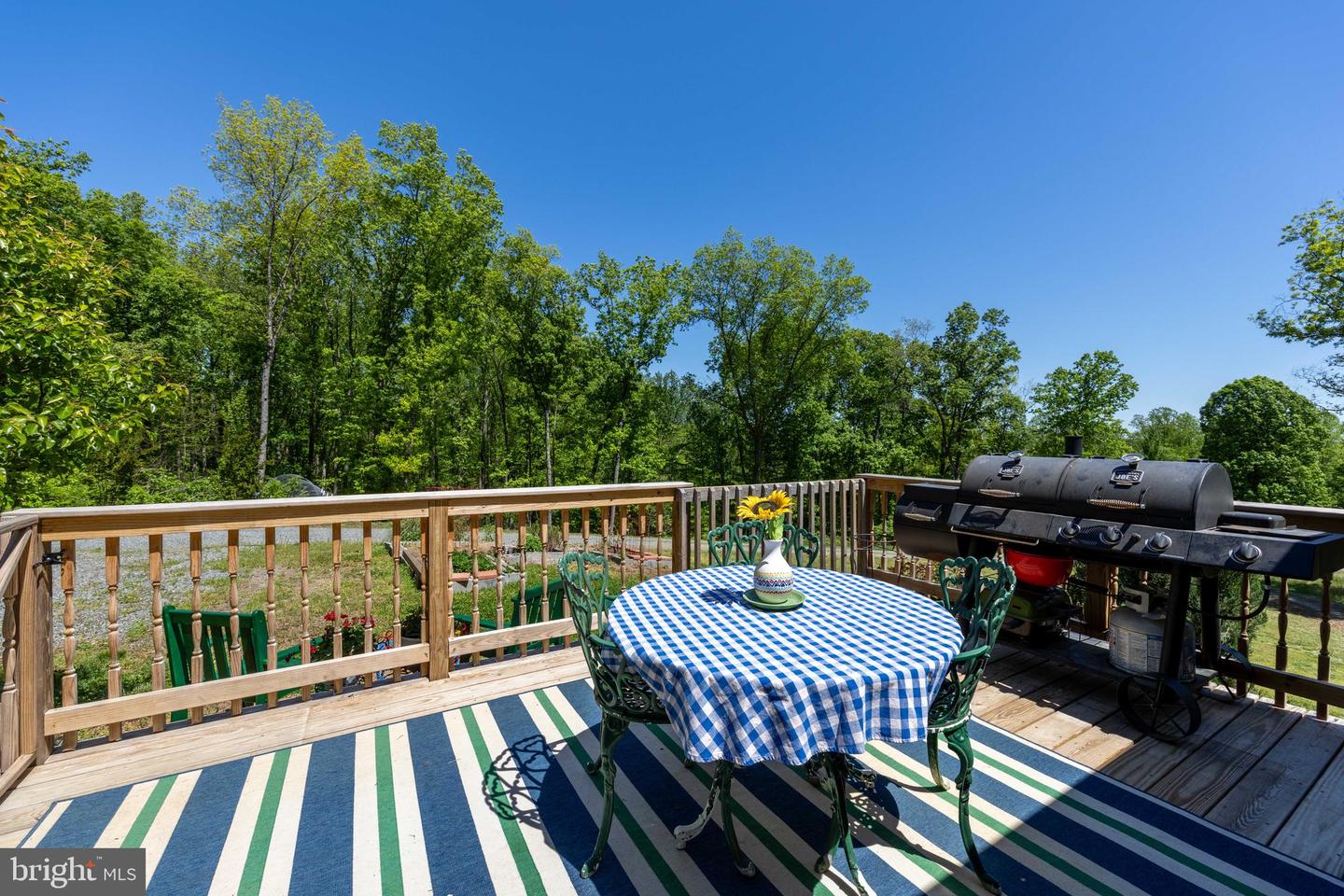 2899 SEVILLE RD, MADISON, Virginia 22727, 4 Bedrooms Bedrooms, 11 Rooms Rooms,3 BathroomsBathrooms,Residential,For sale,2899 SEVILLE RD,VAMA2002206 MLS # VAMA2002206
