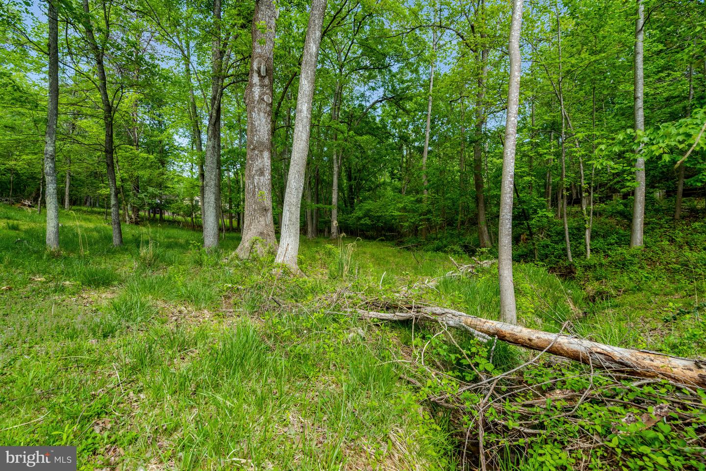 5602 RAIDER DR, WARRENTON, Virginia 20187, 3 Bedrooms Bedrooms, ,2 BathroomsBathrooms,Residential,For sale,5602 RAIDER DR,VAFQ2016426 MLS # VAFQ2016426