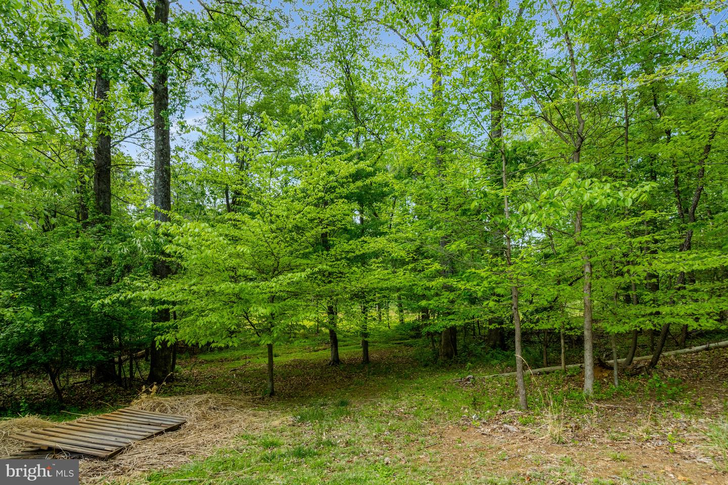 5602 RAIDER DR, WARRENTON, Virginia 20187, 3 Bedrooms Bedrooms, ,2 BathroomsBathrooms,Residential,For sale,5602 RAIDER DR,VAFQ2016426 MLS # VAFQ2016426