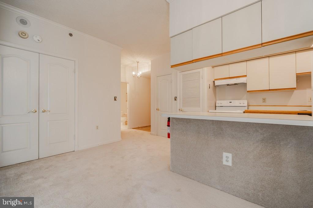1211 S EADS ST S #401, ARLINGTON, Virginia 22202, 1 Bedroom Bedrooms, ,1 BathroomBathrooms,Residential,For sale,1211 S EADS ST S #401,VAAR2056842 MLS # VAAR2056842