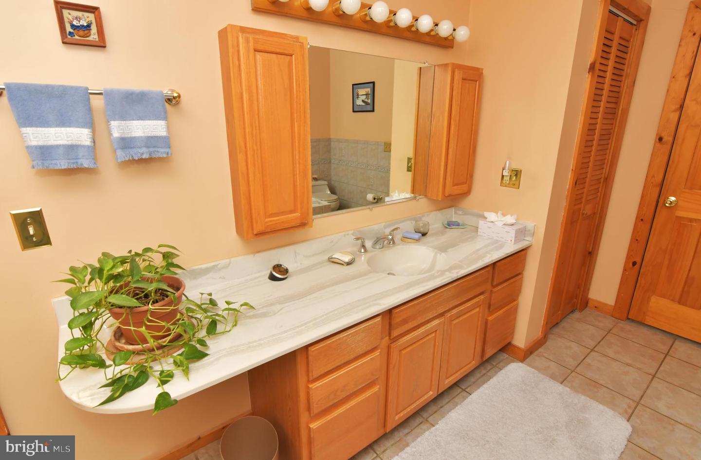 448 SHENANDOAH RIVER LN, FRONT ROYAL, Virginia 22630, 2 Bedrooms Bedrooms, ,2 BathroomsBathrooms,Residential,For sale,448 SHENANDOAH RIVER LN,VACL2003672 MLS # VACL2003672