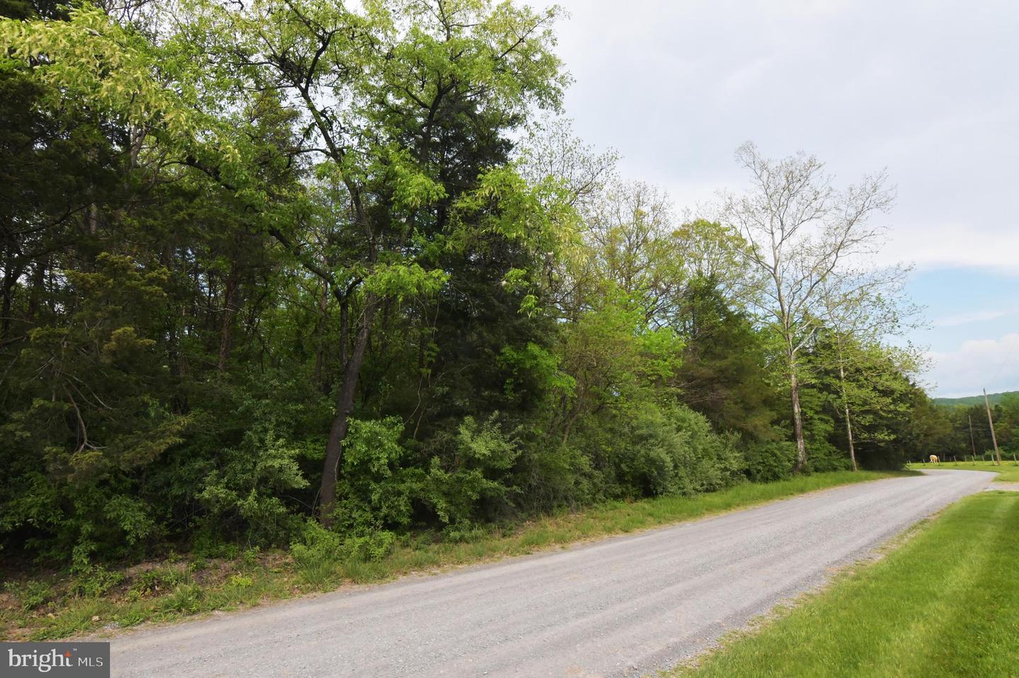 448 SHENANDOAH RIVER LN, FRONT ROYAL, Virginia 22630, 2 Bedrooms Bedrooms, ,2 BathroomsBathrooms,Residential,For sale,448 SHENANDOAH RIVER LN,VACL2003672 MLS # VACL2003672