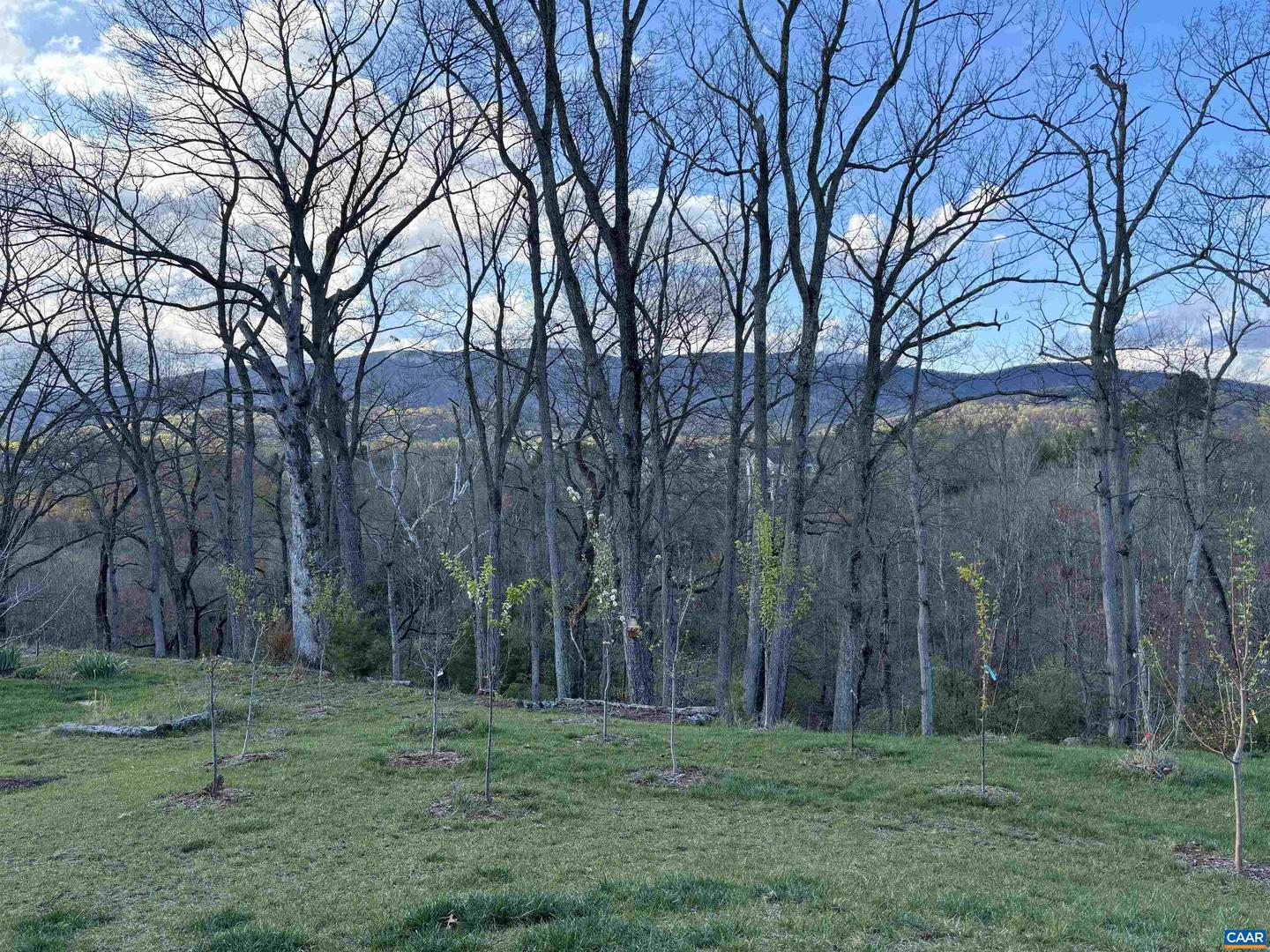 3499 ROWCROSS ST, CROZET, Virginia 22932, 5 Bedrooms Bedrooms, ,4 BathroomsBathrooms,Residential,For sale,3499 ROWCROSS ST,663970 MLS # 663970