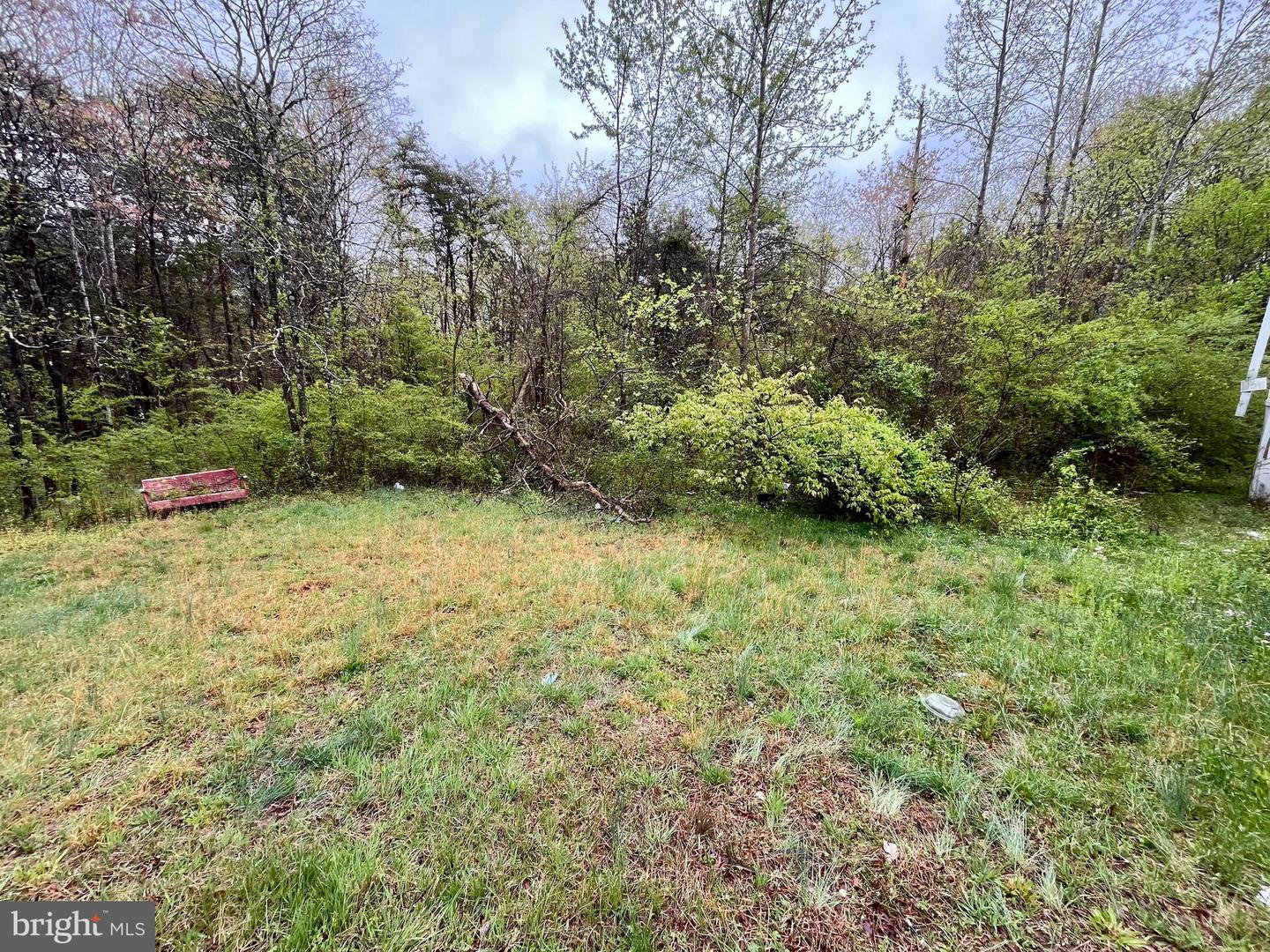 12025 W RIVER RD, PALMYRA, Virginia 22963, 3 Bedrooms Bedrooms, ,2 BathroomsBathrooms,Residential,For sale,12025 W RIVER RD,VAFN2000464 MLS # VAFN2000464