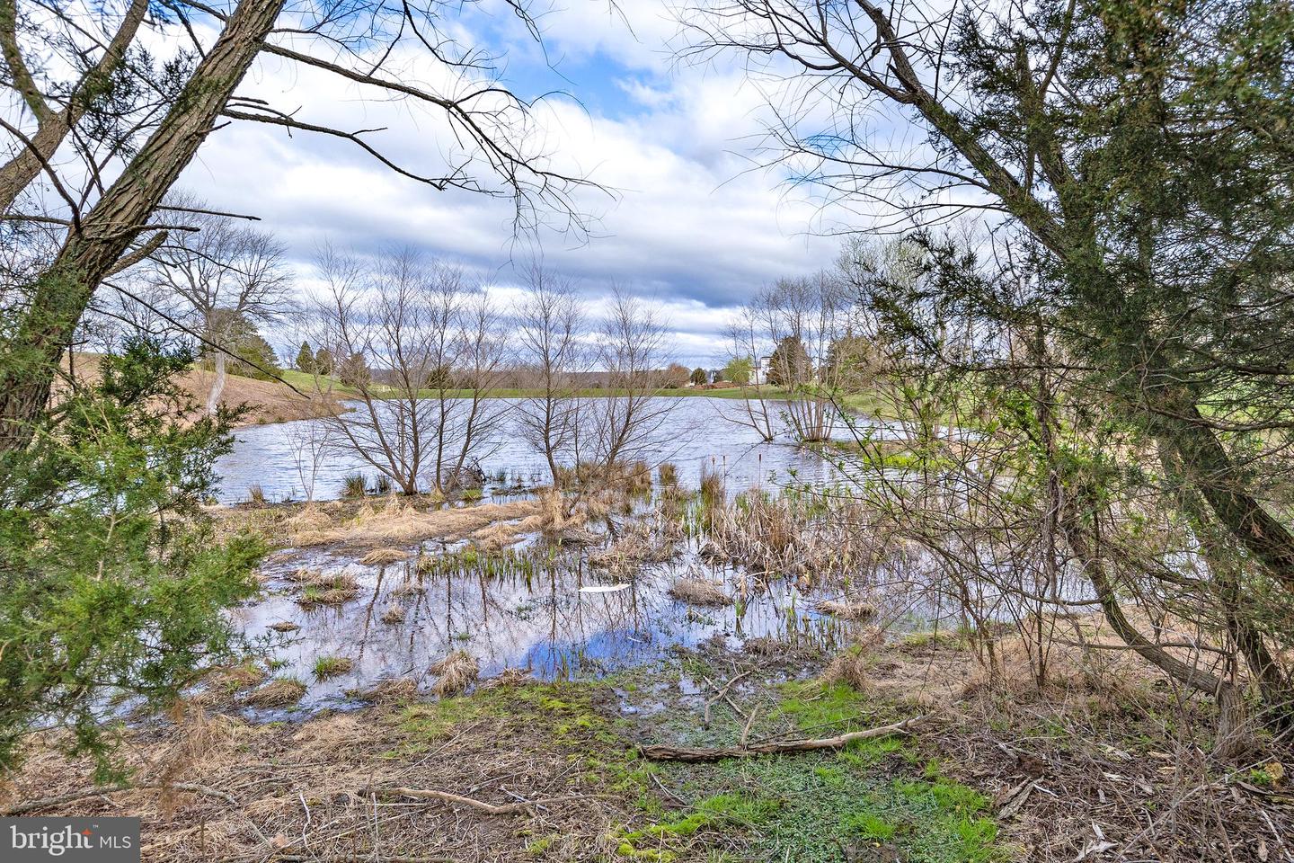 23045 WATSON RD, LEESBURG, Virginia 20175, 6 Bedrooms Bedrooms, ,2 BathroomsBathrooms,Residential,For sale,23045 WATSON RD,VALO2068338 MLS # VALO2068338