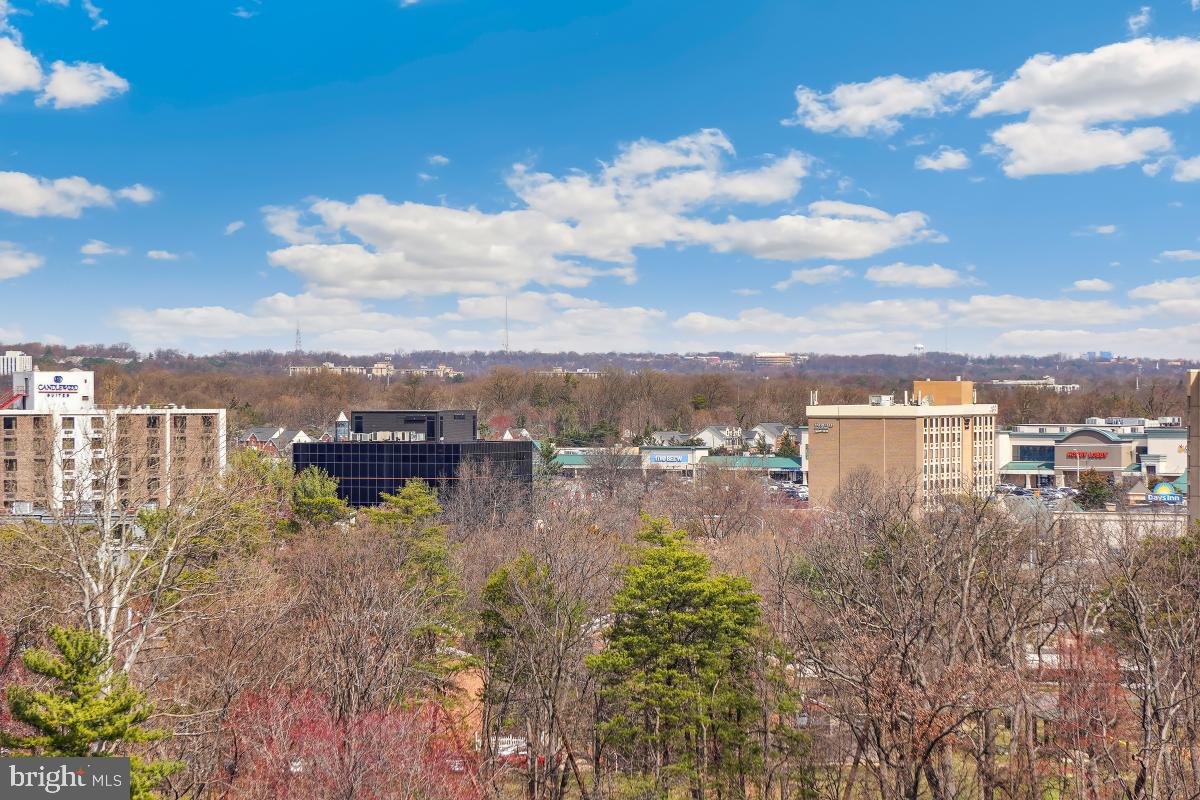 307 YOAKUM PKWY #1405, ALEXANDRIA, Virginia 22304, 2 Bedrooms Bedrooms, 7 Rooms Rooms,2 BathroomsBathrooms,Residential,For sale,307 YOAKUM PKWY #1405,VAAX2043148 MLS # VAAX2043148