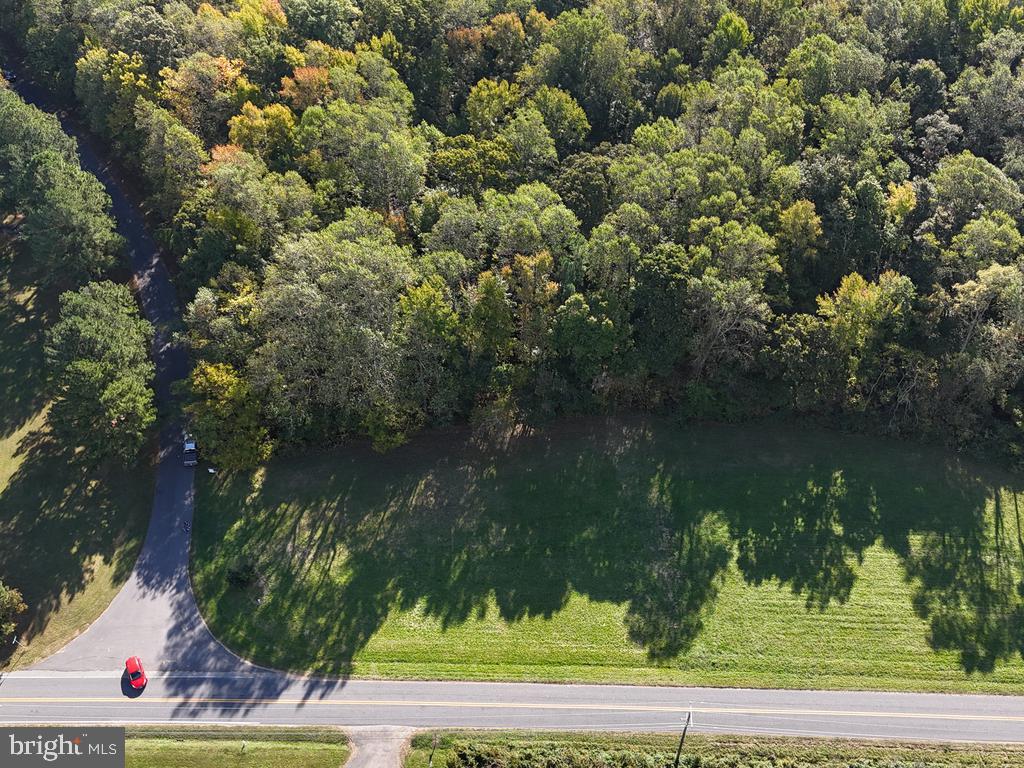 0 PROSPECT HILL RD., MONTROSS, Virginia 22520, ,Land,For sale,0 PROSPECT HILL RD.,VAWE2008788 MLS # VAWE2008788