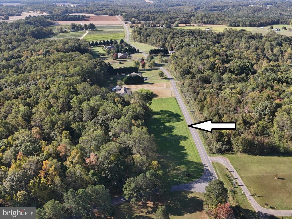 0 PROSPECT HILL RD., MONTROSS, Virginia 22520, ,Land,For sale,0 PROSPECT HILL RD.,VAWE2008788 MLS # VAWE2008788