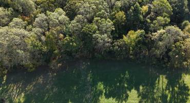 0 PROSPECT HILL RD., MONTROSS, Virginia 22520, ,Land,For sale,0 PROSPECT HILL RD.,VAWE2008788 MLS # VAWE2008788