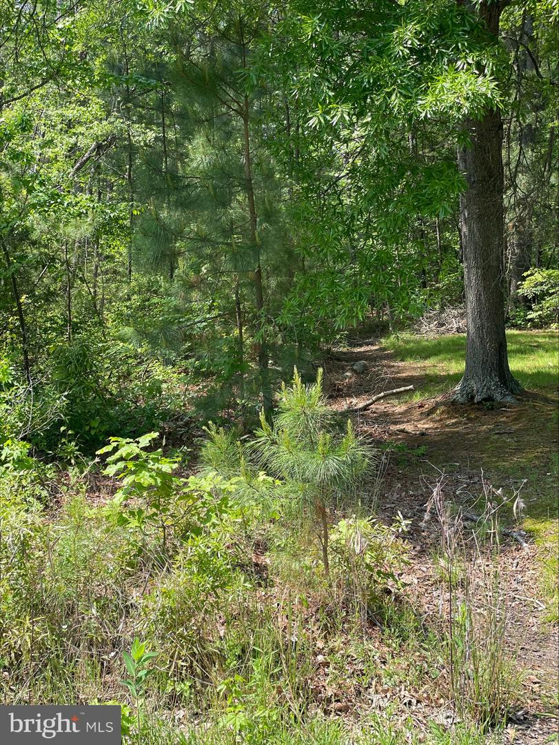 TENTH STREET, COLONIAL BEACH, Virginia 22443, ,Land,For sale,TENTH STREET,VAWE2008792 MLS # VAWE2008792
