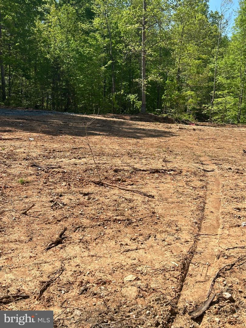 MALLORYS FORD RD, GORDONSVILLE, Virginia 22942, ,Land,For sale,MALLORYS FORD RD,VAOR2009564 MLS # VAOR2009564