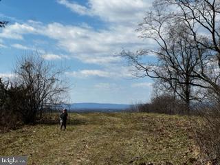 STUMPTOWN RD, LEESBURG, Virginia 20176, ,Land,For sale,STUMPTOWN RD,VALO2095270 MLS # VALO2095270