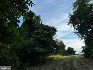STUMPTOWN RD, LEESBURG, Virginia 20176, ,Land,For sale,STUMPTOWN RD,VALO2095270 MLS # VALO2095270