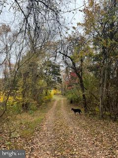 STUMPTOWN RD, LEESBURG, Virginia 20176, ,Land,For sale,STUMPTOWN RD,VALO2095270 MLS # VALO2095270