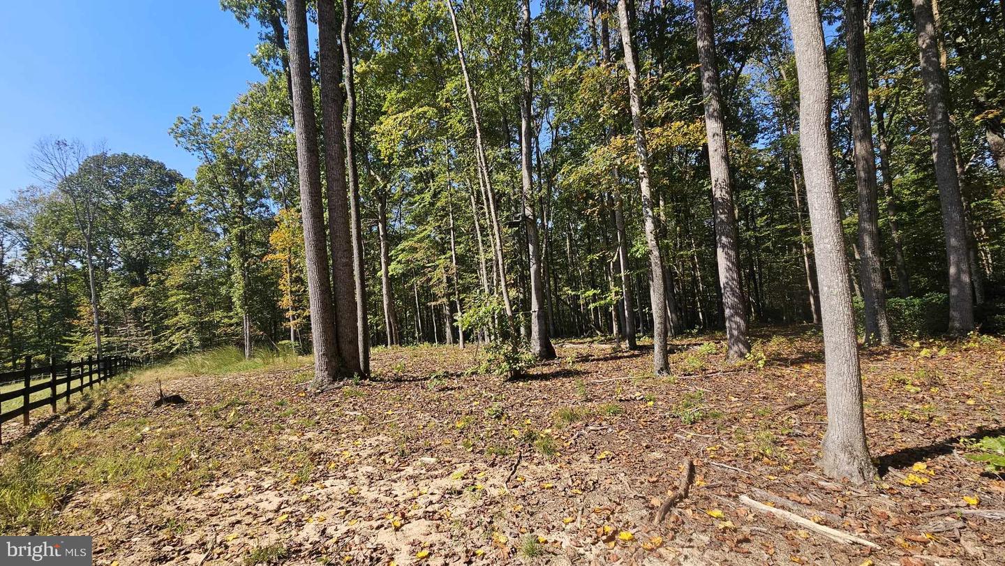 17379 WATERLOO, AMISSVILLE, Virginia 20106, ,Land,For sale,17379 WATERLOO,VACU2010458 MLS # VACU2010458