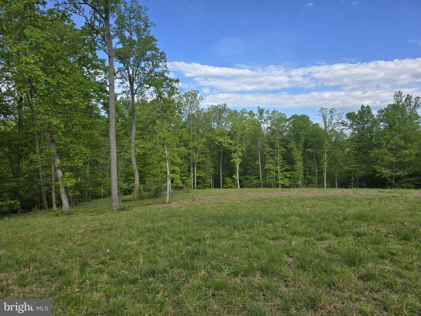 17379 WATERLOO, AMISSVILLE, Virginia 20106, ,Land,For sale,17379 WATERLOO,VACU2010458 MLS # VACU2010458