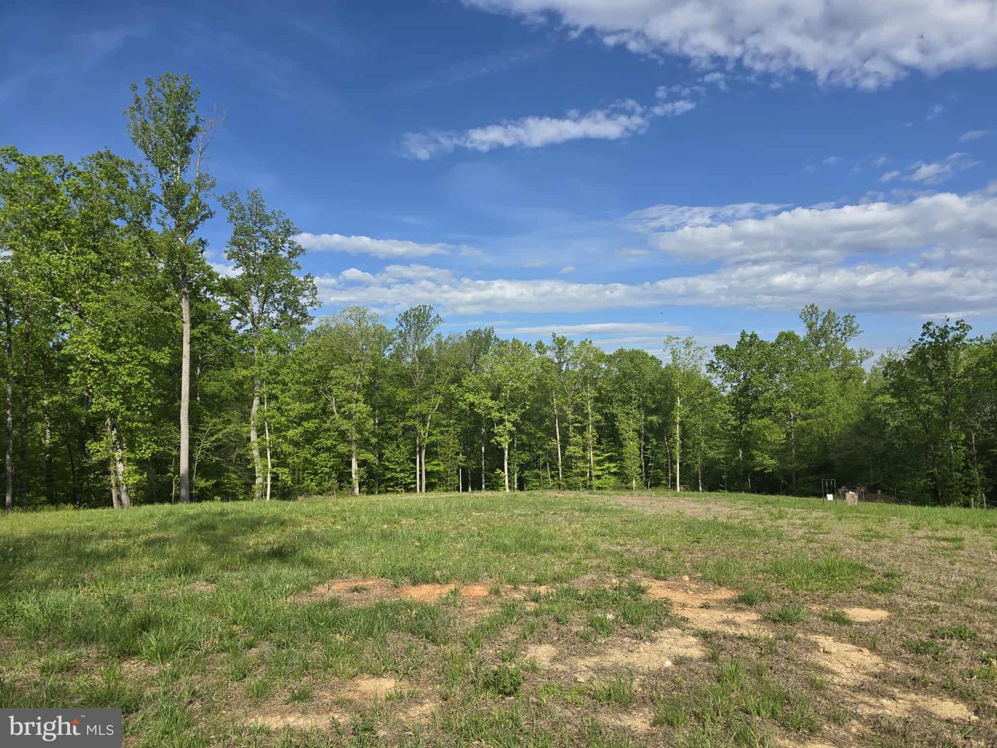 17379 WATERLOO, AMISSVILLE, Virginia 20106, ,Land,For sale,17379 WATERLOO,VACU2010458 MLS # VACU2010458
