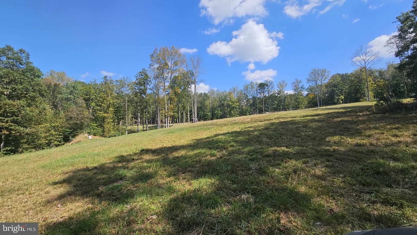 17379 WATERLOO, AMISSVILLE, Virginia 20106, ,Land,For sale,17379 WATERLOO,VACU2010458 MLS # VACU2010458