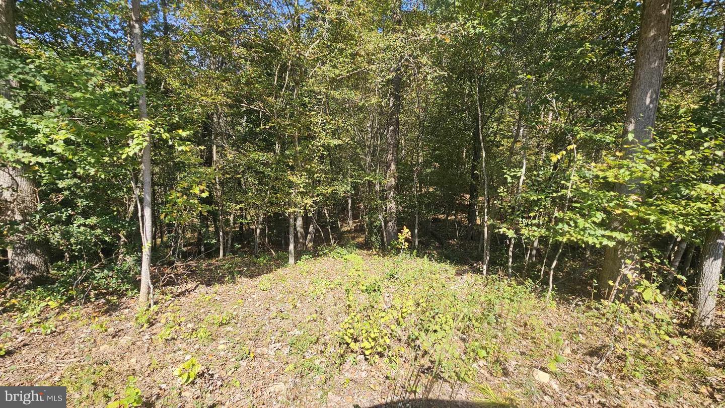 17379 WATERLOO, AMISSVILLE, Virginia 20106, ,Land,For sale,17379 WATERLOO,VACU2010458 MLS # VACU2010458