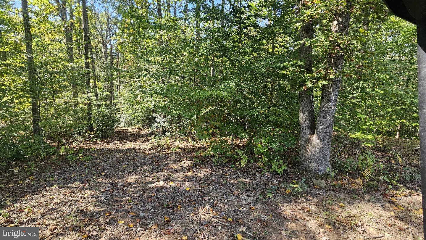 17379 WATERLOO, AMISSVILLE, Virginia 20106, ,Land,For sale,17379 WATERLOO,VACU2010458 MLS # VACU2010458