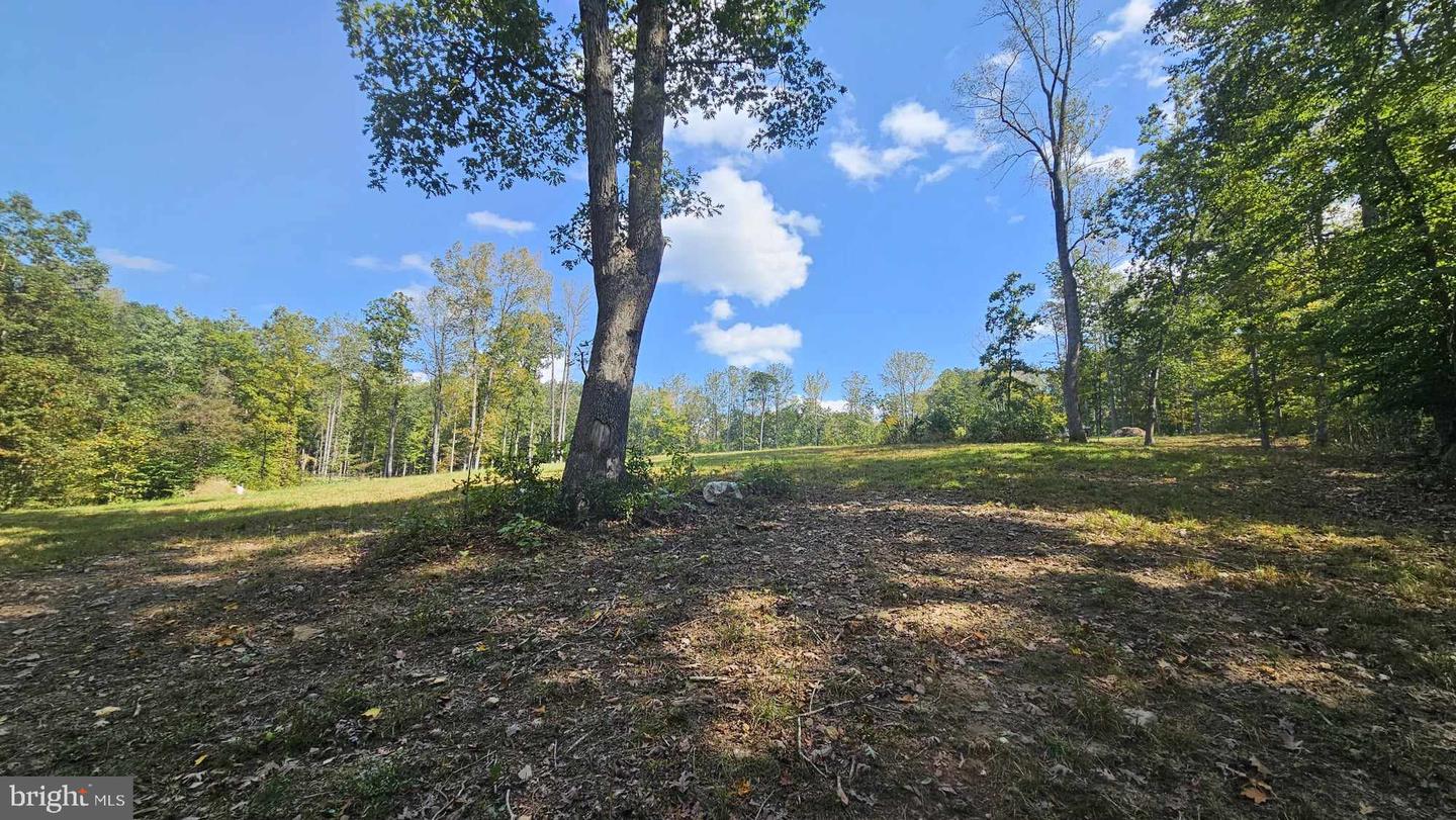 17379 WATERLOO, AMISSVILLE, Virginia 20106, ,Land,For sale,17379 WATERLOO,VACU2010458 MLS # VACU2010458
