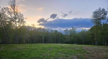 17379 WATERLOO, AMISSVILLE, Virginia 20106, ,Land,For sale,17379 WATERLOO,VACU2010458 MLS # VACU2010458