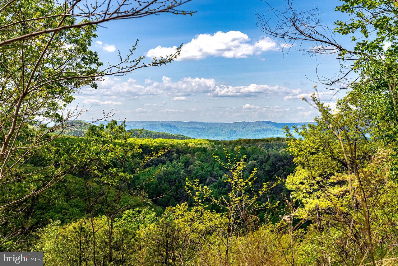 1797 CUBBAGE HOLLOW ROAD, STANLEY, Virginia 22851, ,Farm,For sale,1797 CUBBAGE HOLLOW ROAD,VAPA2004864 MLS # VAPA2004864