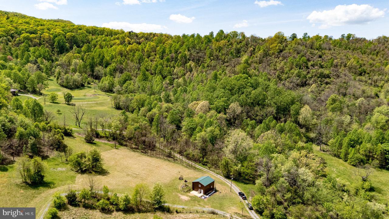1797 CUBBAGE HOLLOW ROAD, STANLEY, Virginia 22851, ,Farm,For sale,1797 CUBBAGE HOLLOW ROAD,VAPA2004864 MLS # VAPA2004864