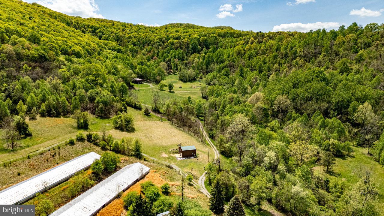1797 CUBBAGE HOLLOW ROAD, STANLEY, Virginia 22851, ,Farm,For sale,1797 CUBBAGE HOLLOW ROAD,VAPA2004864 MLS # VAPA2004864