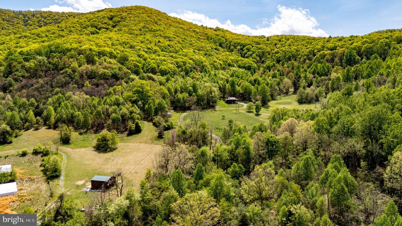 1797 CUBBAGE HOLLOW ROAD, STANLEY, Virginia 22851, ,Farm,For sale,1797 CUBBAGE HOLLOW ROAD,VAPA2004864 MLS # VAPA2004864