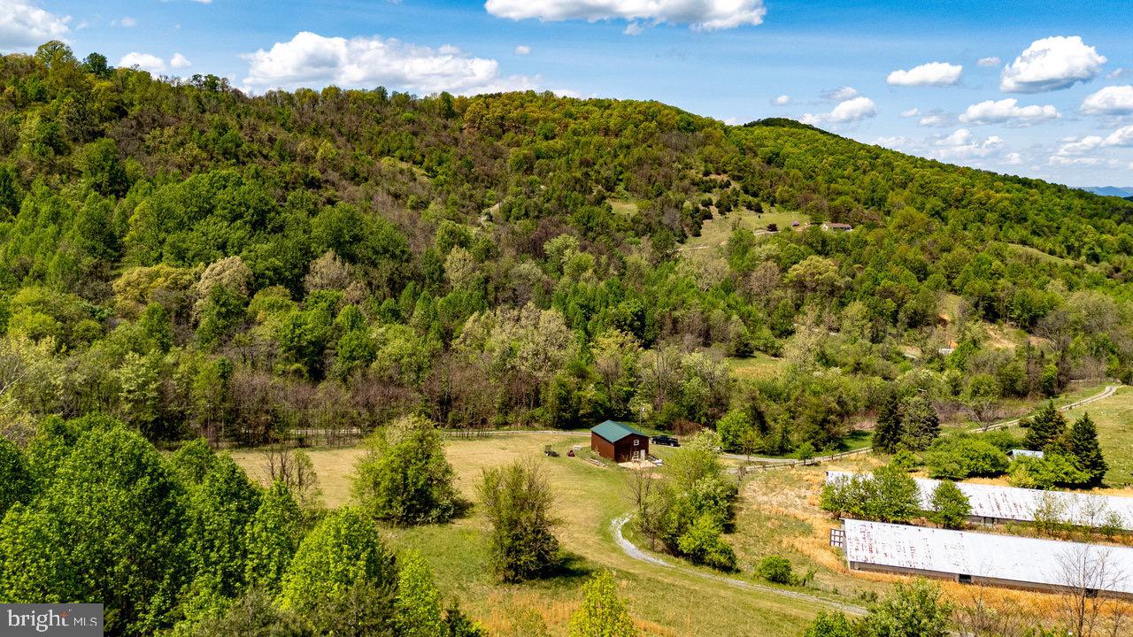 1797 CUBBAGE HOLLOW ROAD, STANLEY, Virginia 22851, ,Farm,For sale,1797 CUBBAGE HOLLOW ROAD,VAPA2004864 MLS # VAPA2004864