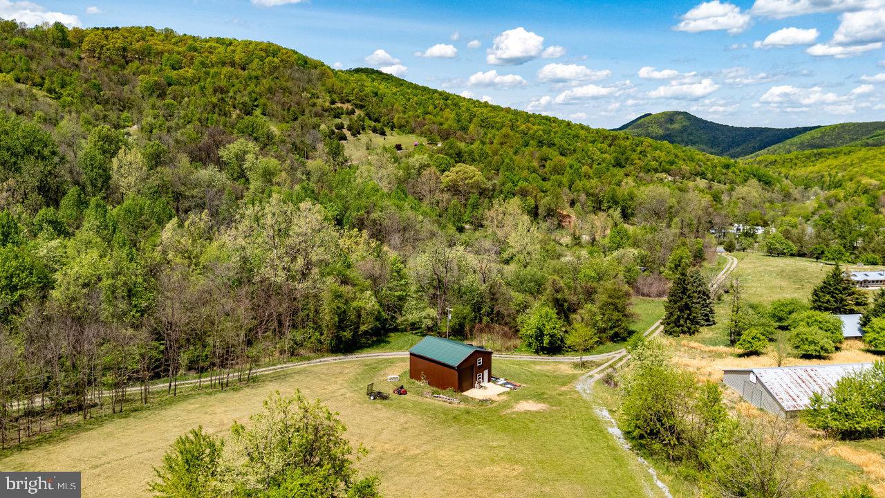 1797 CUBBAGE HOLLOW ROAD, STANLEY, Virginia 22851, ,Farm,For sale,1797 CUBBAGE HOLLOW ROAD,VAPA2004864 MLS # VAPA2004864