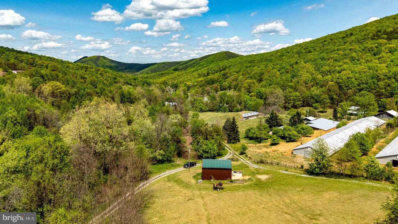 1797 CUBBAGE HOLLOW ROAD, STANLEY, Virginia 22851, ,Farm,For sale,1797 CUBBAGE HOLLOW ROAD,VAPA2004864 MLS # VAPA2004864