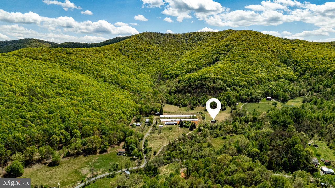 1797 CUBBAGE HOLLOW ROAD, STANLEY, Virginia 22851, ,Farm,For sale,1797 CUBBAGE HOLLOW ROAD,VAPA2004864 MLS # VAPA2004864