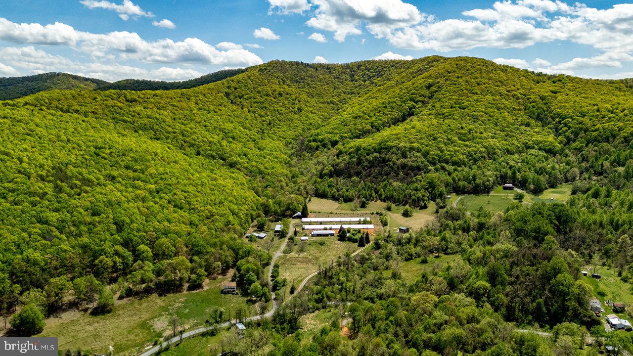 1797 CUBBAGE HOLLOW ROAD, STANLEY, Virginia 22851, ,Farm,For sale,1797 CUBBAGE HOLLOW ROAD,VAPA2004864 MLS # VAPA2004864